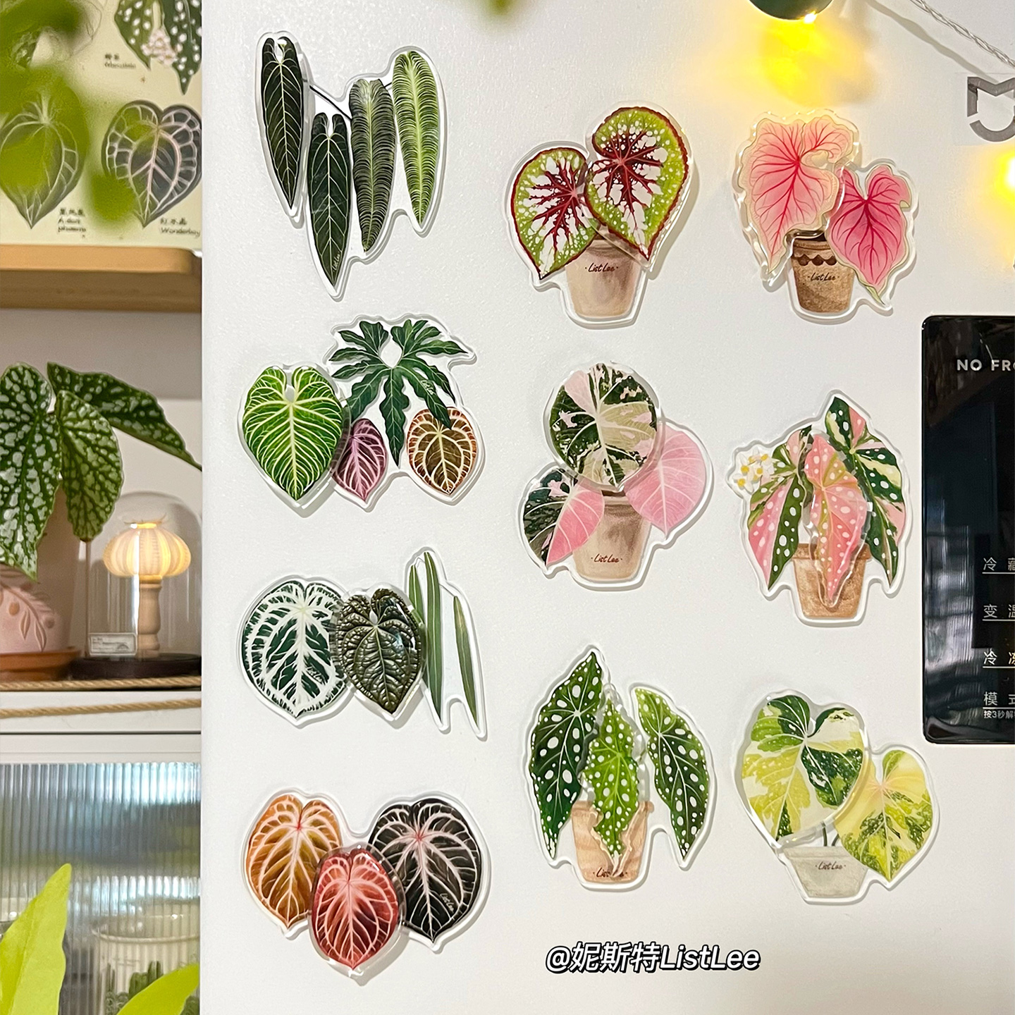 热带植物旋转冰箱贴原创绿植插画