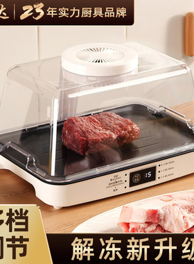家用保鲜解冻神器多功能食物快速解冻机板商用智能解冻盘化冻神器