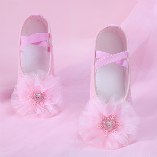 新款粉色艾莎舞蹈鞋儿童女软底女童练功鞋粉免系带中国跳舞猫爪芭