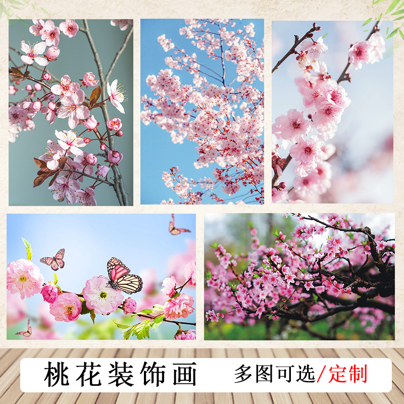 春天风景桃花卧室贴墙画花卉海报定制桃花好运pp胶自粘装饰挂画