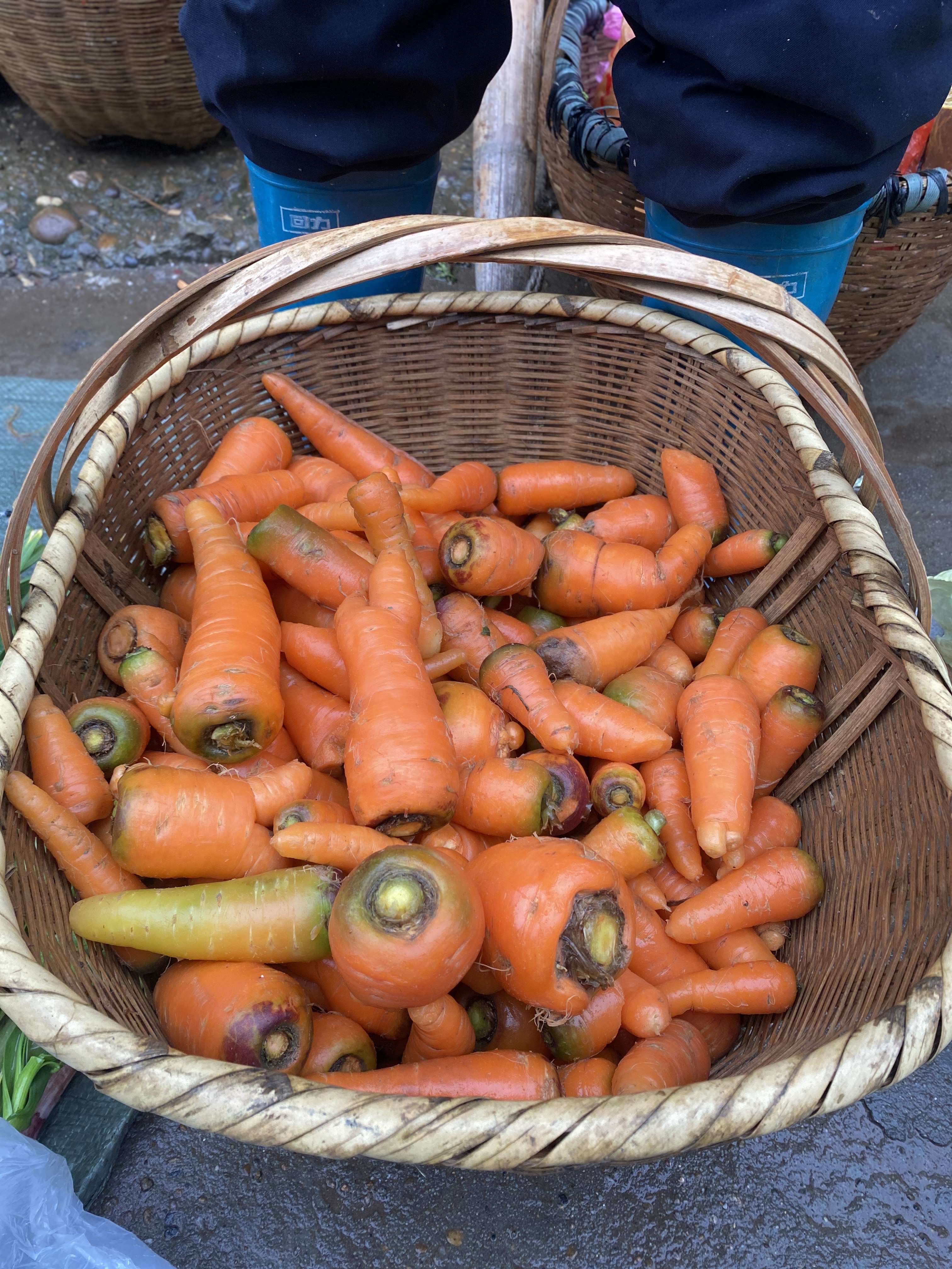 湖南衡阳老品种胡萝卜3斤