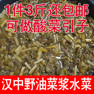 陕西汉中浆水菜500g*3袋 农家自制野油菜酸菜引子开胃菜3斤宁强县