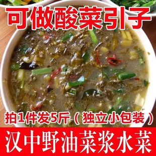 陕西汉中浆水菜油菜浆水菜农家自制酸菜引子开胃菜3斤5斤宁强县