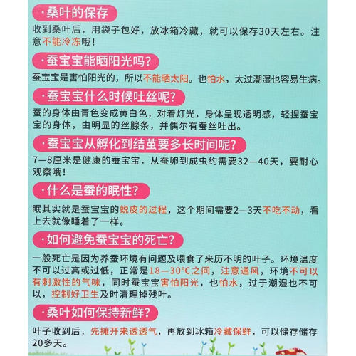 白玉蜗牛白玉蜗牛白玉蜗牛白玉蜗牛白玉蜗牛