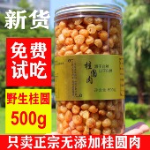 9a高州传承野生桂圆肉无核特级肉干无添加龙眼肉干2025新货500g装
