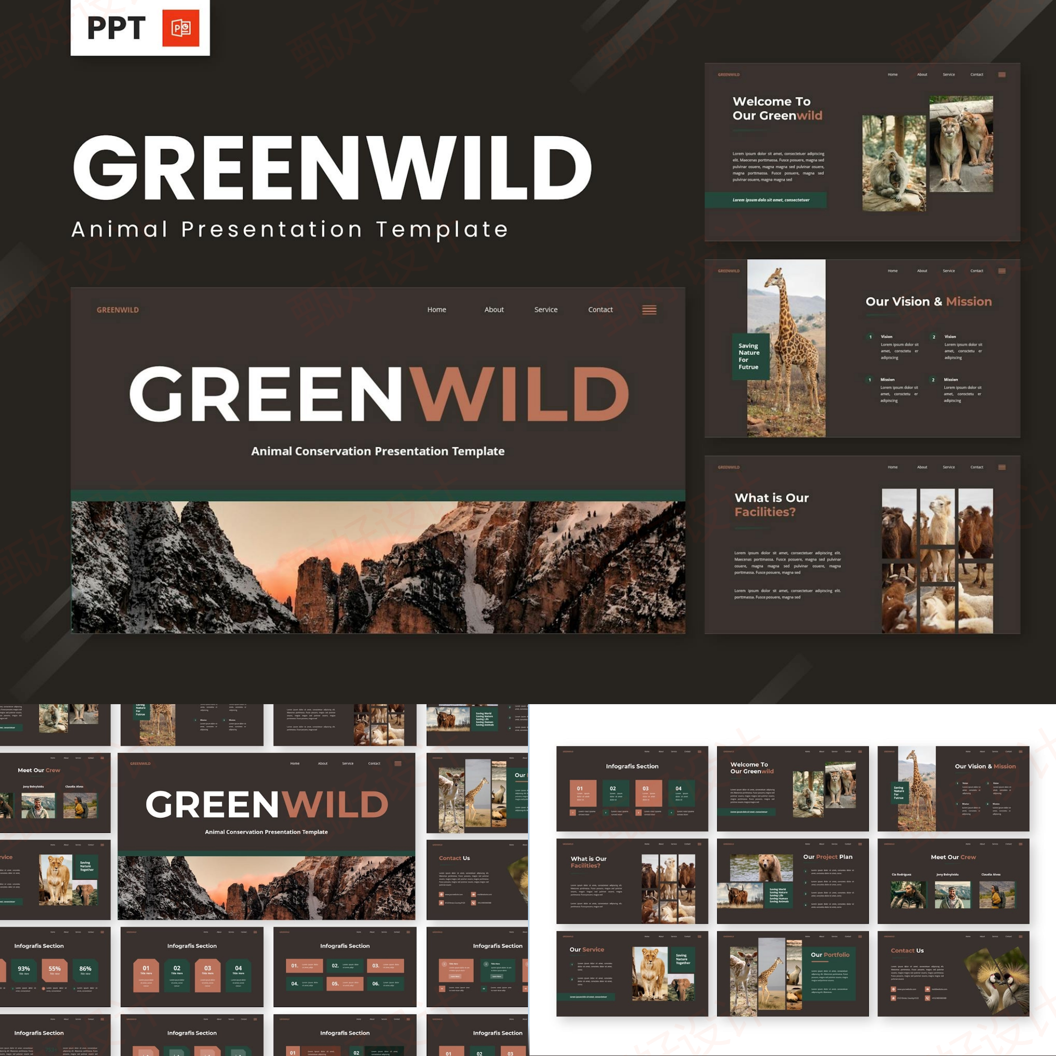 ppt模板自然生态环境动植物旅游棕色风格精品商业品牌公司介绍275