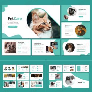 ppt模板宠物护理医院动物诊所品牌营销商业推广业务投资培训849