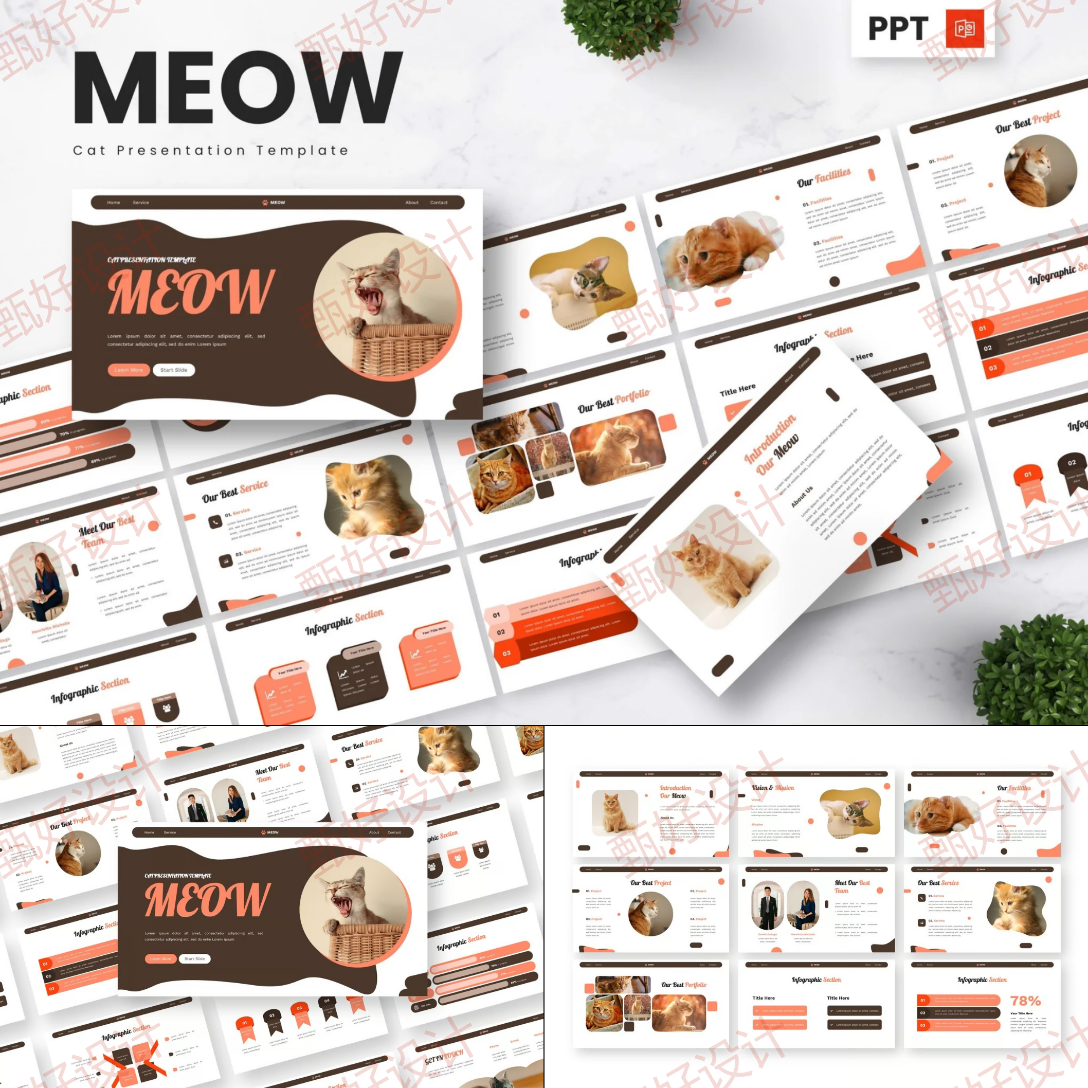 ppt模板宠物动物猫狗护理医院品牌推广产品营销商业项目投资1148