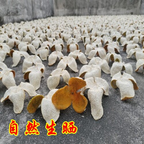 新2025年新会陈皮茶枝柑生晒干青皮二红皮大红皮500克起收藏首选