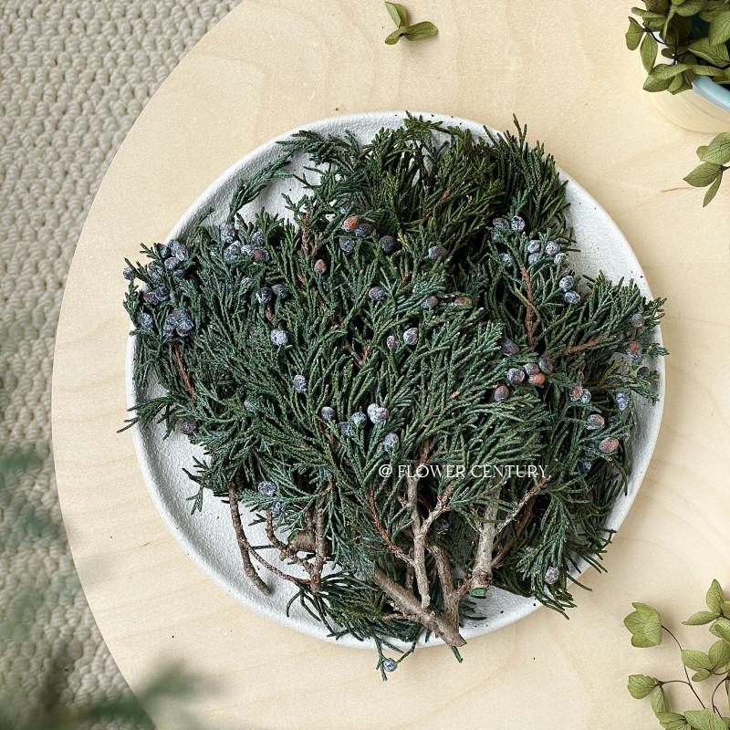 花纪永生花盒diy进口大地农园浮游瓶车挂花环圣诞配材の松柏叶