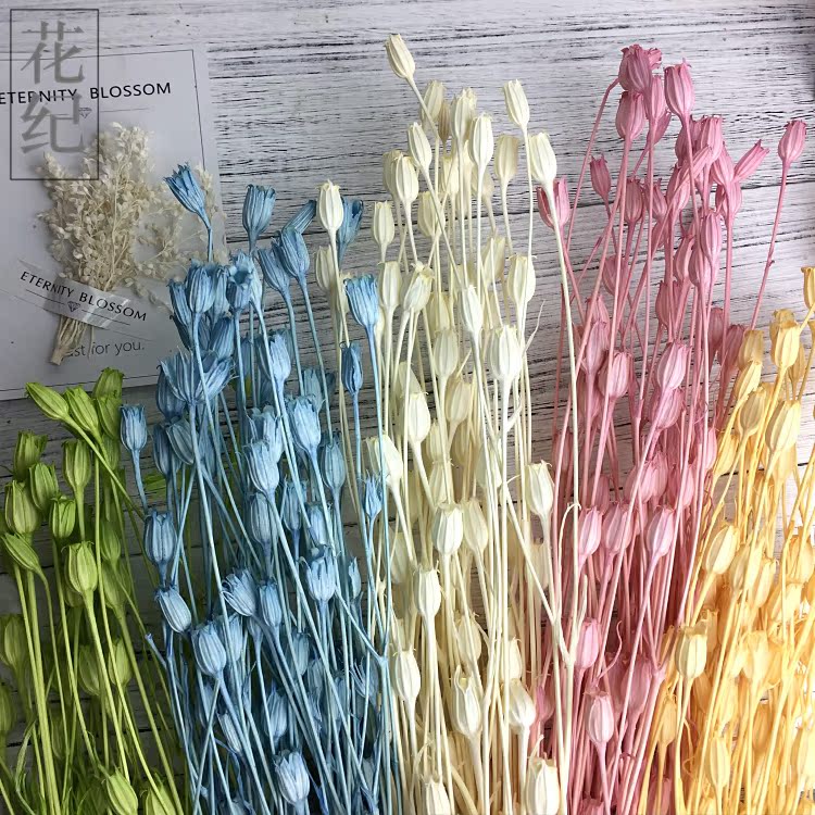 花紀永生花diy50510大地永生配花可愛の白色粉色藍色風鈴果