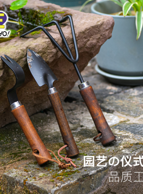 ECHO日本金属木柄园艺小号铲子松泥土种花工具家用套装盆栽多肉铲