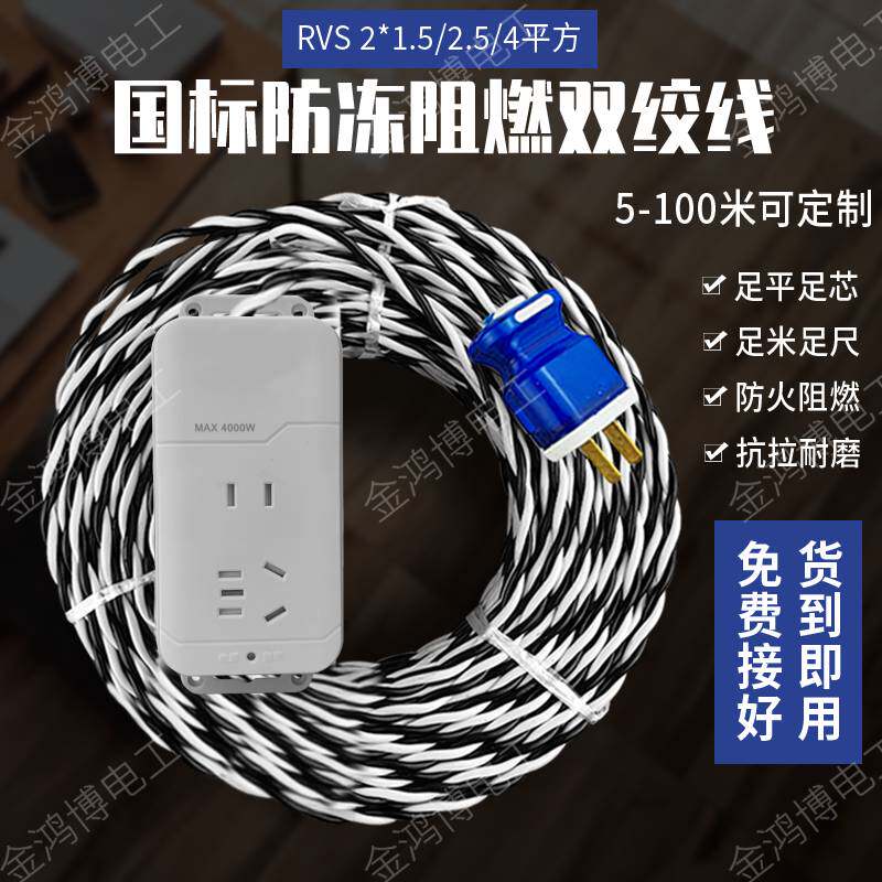 4600W大功率二芯软电源线带插头图片