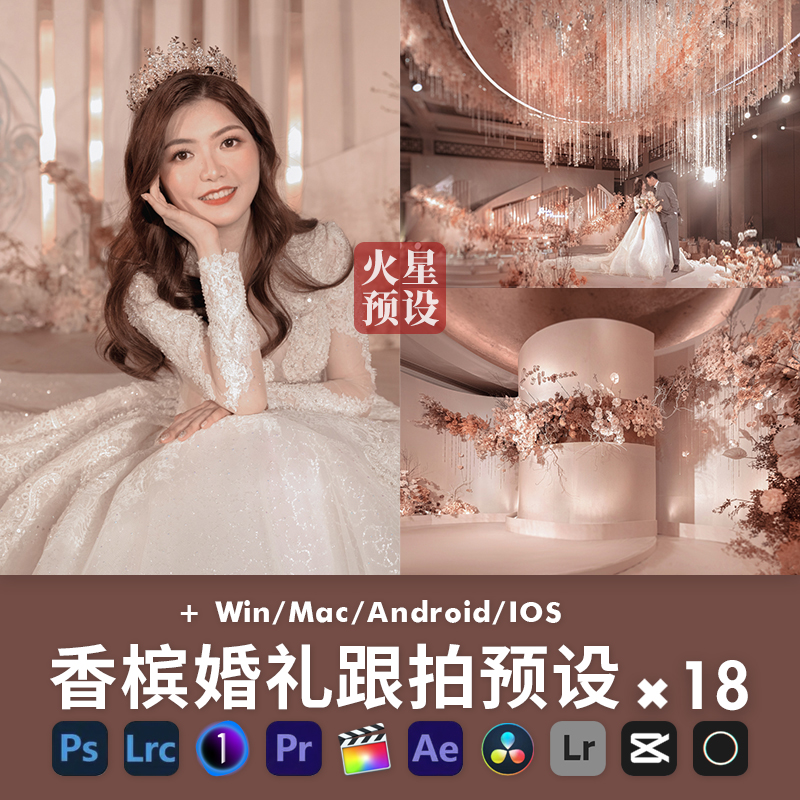 奢华香槟婚礼跟拍LR预设复古时尚人像调色PS滤镜PR/FCPX飞思LUT