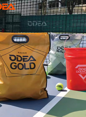 ODEA欧帝尔网球GOLD成人初学者DD1无压耐打高弹儿童训练球SILVER
