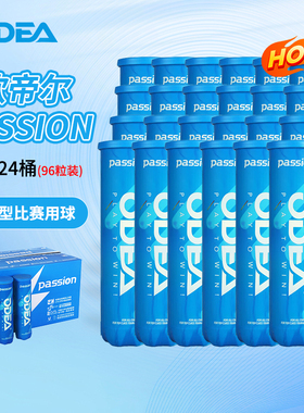 ODEA欧帝尔正品网球PASSION专业比用球高弹耐打训练用球WIN4粒装