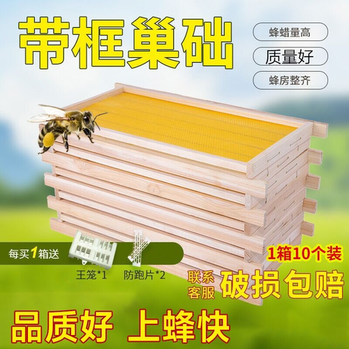 中蜂成品巢框杉木蜜蜂带框巢础