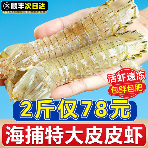 皮皮虾鲜活新鲜冷冻特大即食带膏带肉虾爬子椒盐濑尿海虾海鲜水产