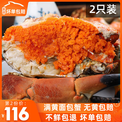 面包蟹特大新货2只装