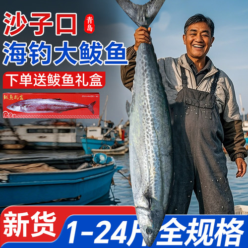 鲅鱼新鲜冷冻山东特大马鲛鱼整条青岛鲅鱼片香煎燕鲅鱼段海鱼10斤