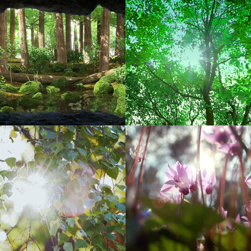 88小清新美景森林花朵阳光穿过树叶视频素材,商务/设计服务,设计素材/源文件,淘宝优惠券,粉丝福利购,淘宝优惠卷