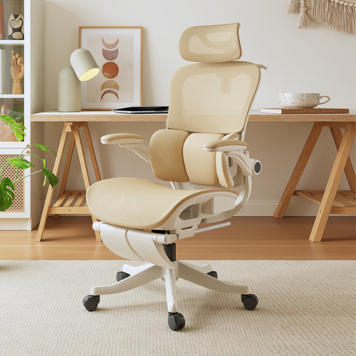 电脑椅女生人体工学椅子家用护腰办公椅宿舍椅子靠背椅舒服电竞椅