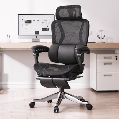 人体工学椅家用护腰电脑椅舒适久坐办公椅大角度可躺宿舍电竞椅