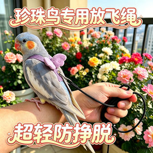 珍珠鸟专用鹦鹉放飞绳外出神器牵引绳放飞遛溜鸟绳绳子鸟用背带式