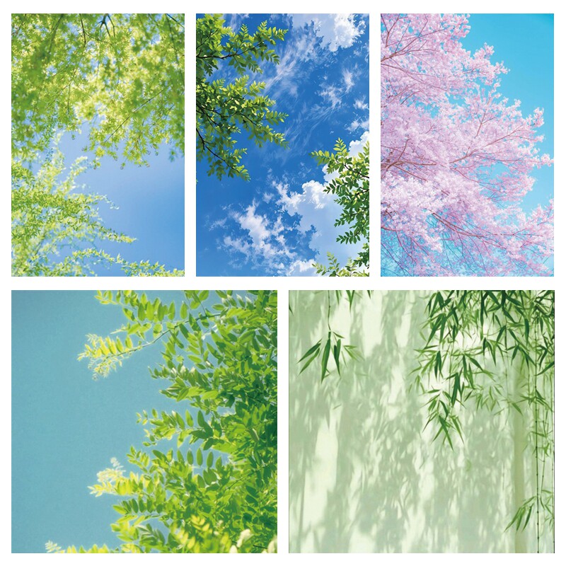 绿色小清新田园风樱花背景布森林