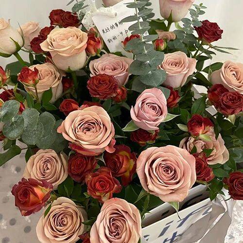 卡布奇诺玫瑰巧克力多头泡泡云南昆明基地直发月子花篮水养鲜切花