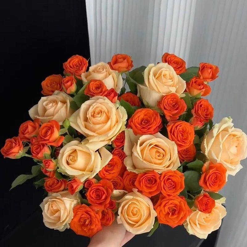 香槟玫瑰橙芭比多头泡泡花束云南昆明基地直发水养花七夕情人节花,鲜花速递/花卉仿真/绿植园艺,花材,淘宝优惠券,粉丝福利购,淘宝优惠卷