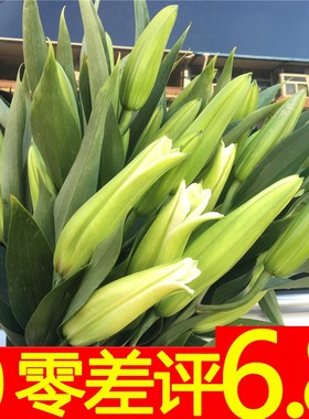 云南昆明基地直发水养速递花束