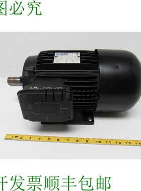 原装供应拉弗特 HE100F4 电机 4 3PH 1735RPM 4极