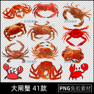 png免抠大闸蟹螃蟹卡通美食海报插画免扣透明底图案PS设计素材