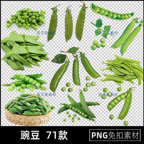 豌豆png免扣图蔬菜豆类透明背景免抠PS设计素材
