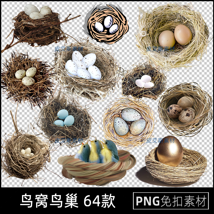 鸟窝png免抠鸟巢鸟蛋金蛋图片免抠透明背景图案元素PS设计素材