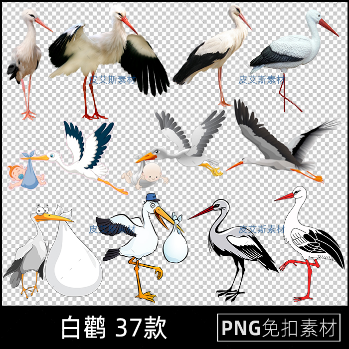 白鹳png免抠元素飞翔羽毛东方送子鸟透明底图案图片PS设计素材