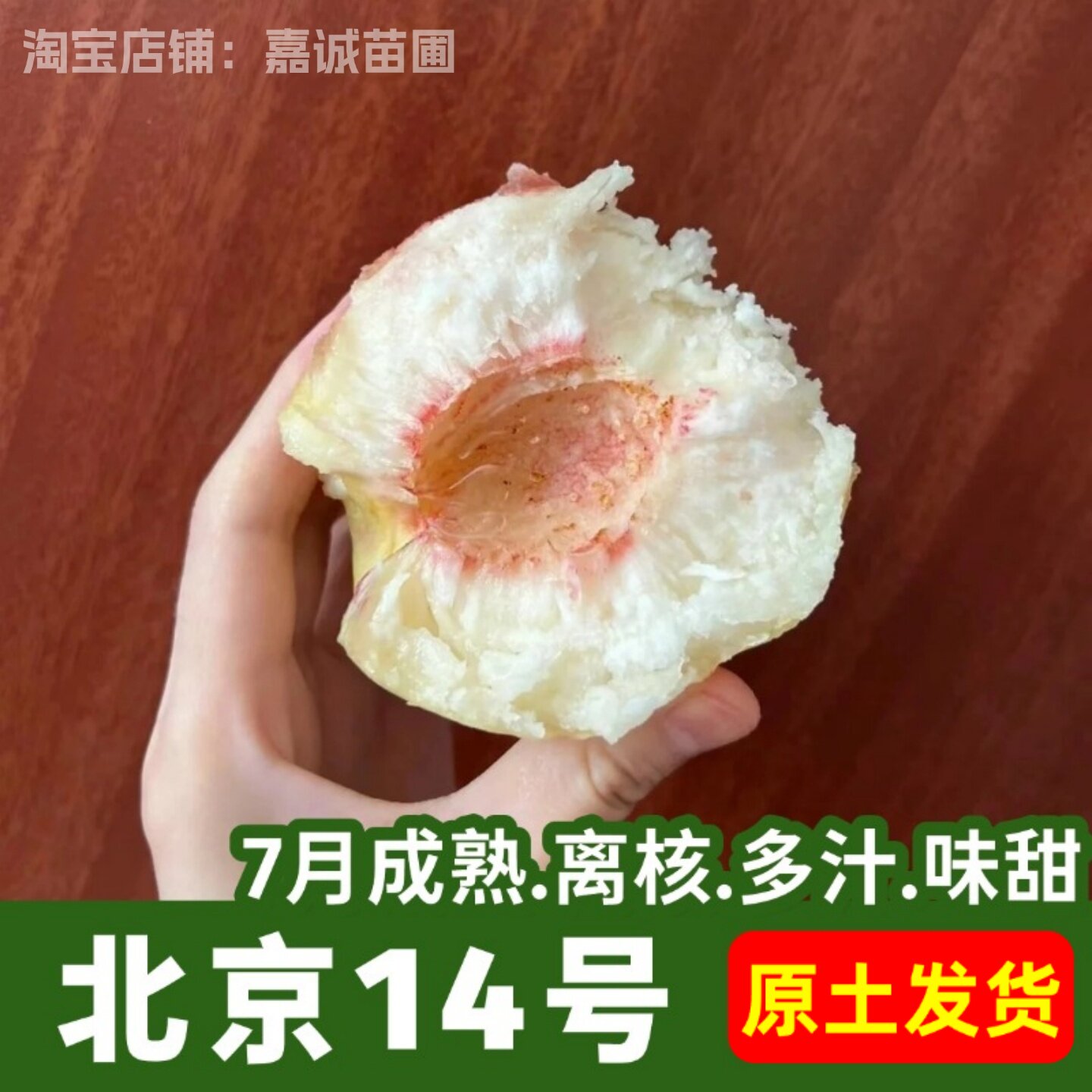 桃树果苗早十四号平谷大桃苗脆甜离核京玉北京14号桃树苗带土发货