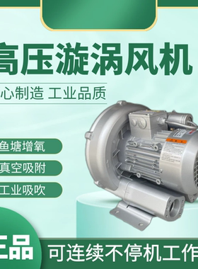 格凌2RB310-7AA11漩涡风机0.7KW单相气环式真空泵GREENCO