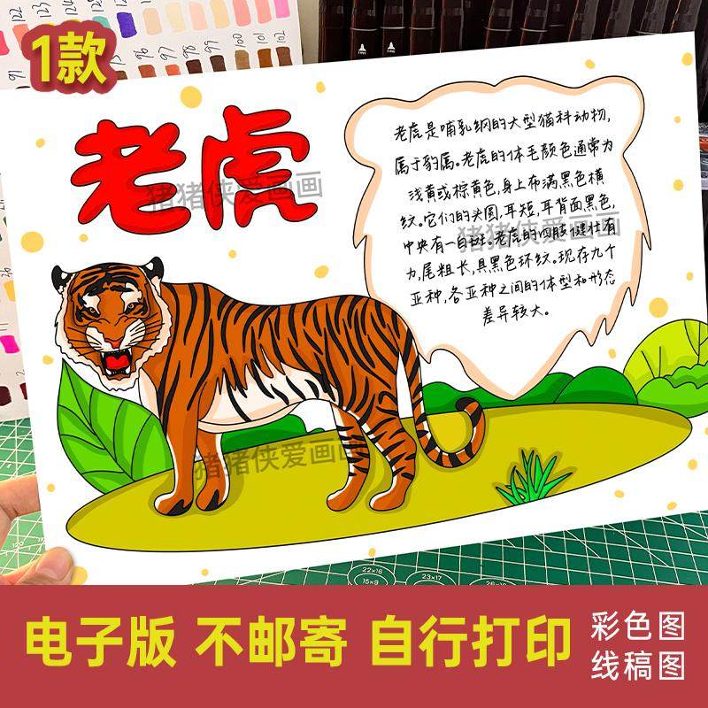 动物老虎手抄报 认识动物名片小报电子黑白线稿涂色电子模版334