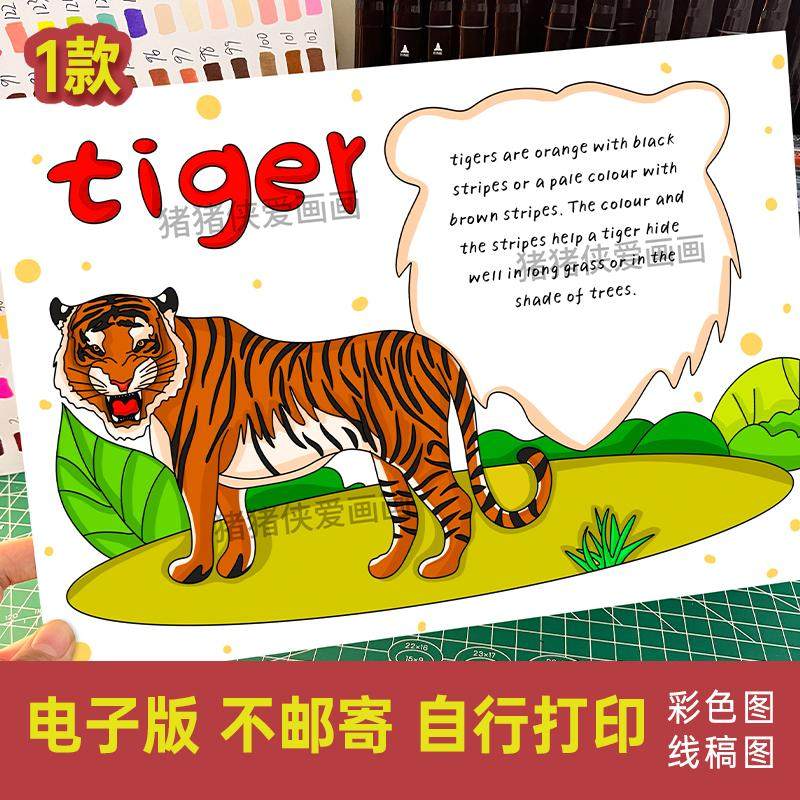 动物老虎tiger手抄报 英语小报认识动物名片电子模版线稿素材335