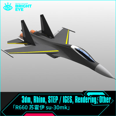 苏霍伊su-30mk战斗机rhino犀牛代建模成品产品设计3d素材模型3dm