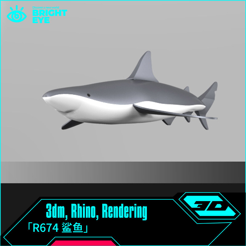 鲨鱼rhino犀牛代建模成品食人鲨动物3d素材模型3dm电子源文件格式图片