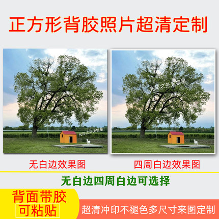 照片打印正方形背胶黏贴高清相片贴纸冰箱贴5x5cm拍立得专辑封面
