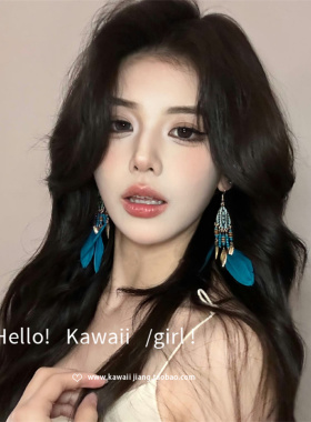新中式小众设计感高级民族风耳环女复古气质长款蓝色羽毛流苏耳饰