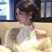 千金感闪钻银色星星耳环轻奢流苏长款 耳坠名媛气质高级感耳钉耳饰