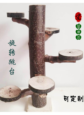 烘干苹果木树桩旋转台阶原木宠物跳台螺旋楼梯仓鼠龙猫松鼠小蜜用