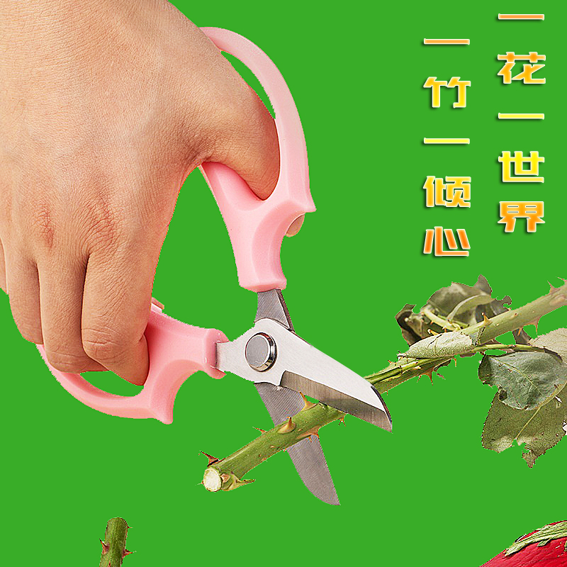 花艺师剪不锈钢花艺剪修枝剪修花剪刀家用剪花剪圆头插花剪鲜花剪