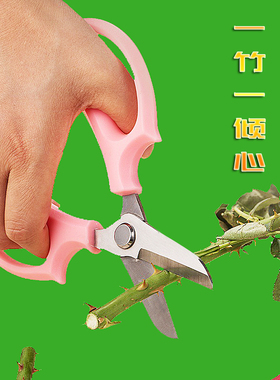 花艺师剪不锈钢花艺剪修枝剪修花剪刀家用剪花剪圆头插花剪鲜花剪