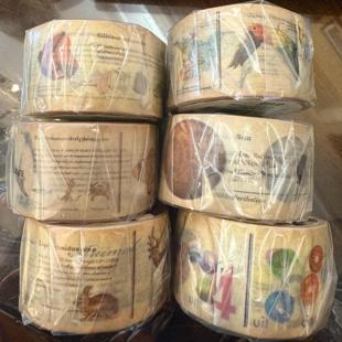 日本mt ex图鉴动物矿物植物数字海洋生物和纸胶带停产绝版整卷10m